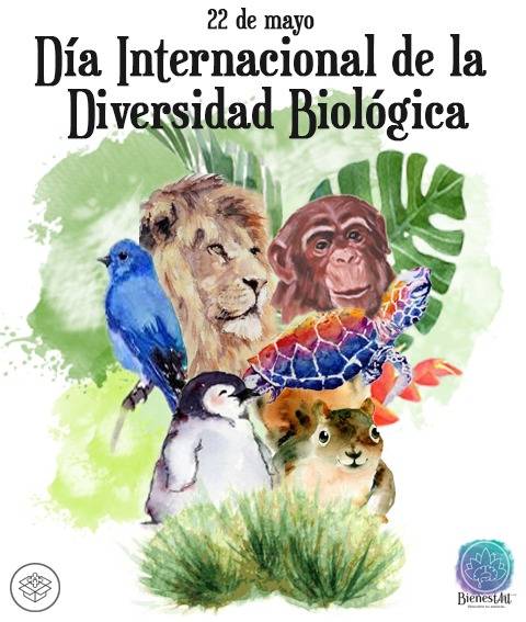 Día mundial de la diversidad biológica Bienestart Día Internacional de la Diversidad Biológica - BienestArt