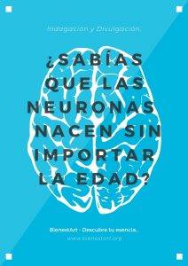 Neuronas nacen sin importar la edad Bienestart Neurogénesis - BienestArt
